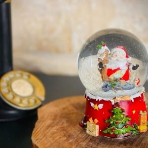 Snow Globe Santa with Mr. Robin