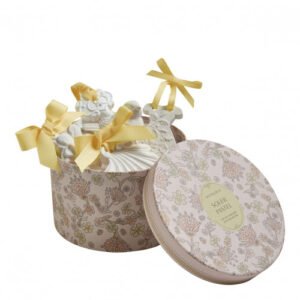 Set of 5 Scented Plasters - Soleil Pastel